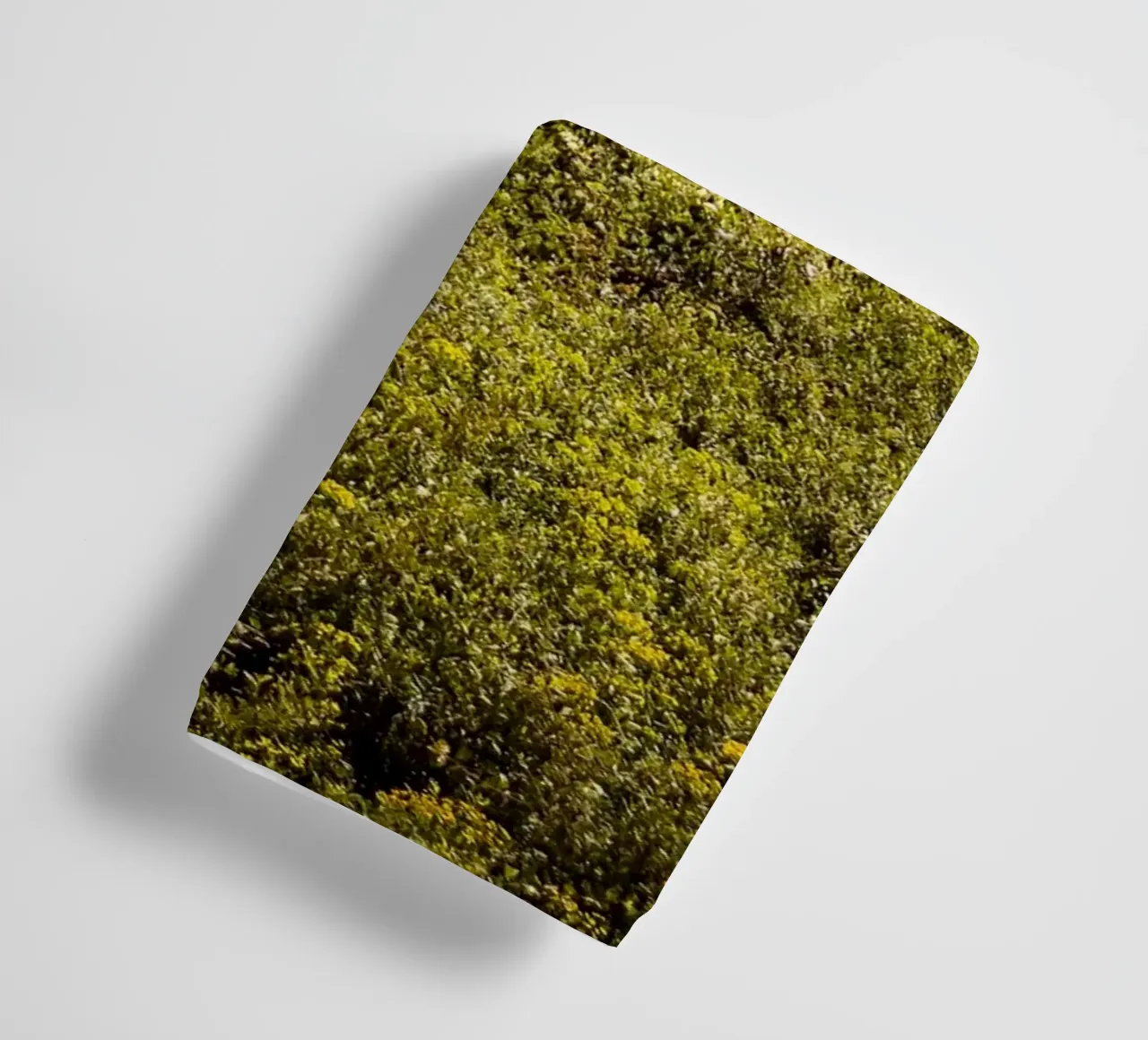 Spring is Loading in Romania – Wildflower Field from Train W towel by jay