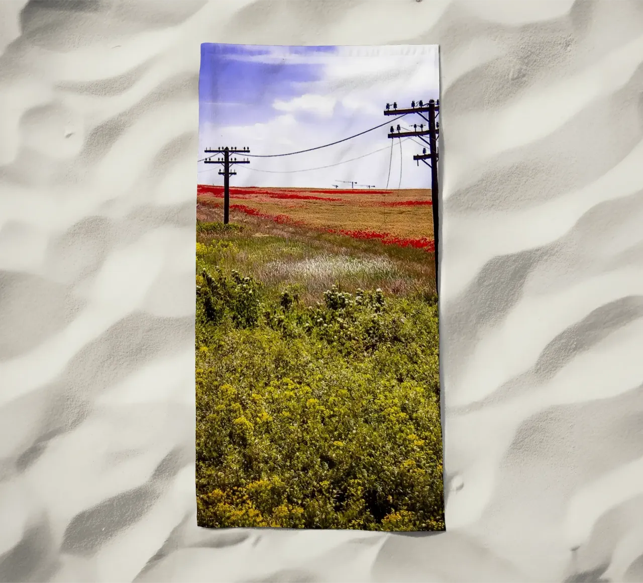 Spring is Loading in Romania – Wildflower Field from Train W beach towel by jay