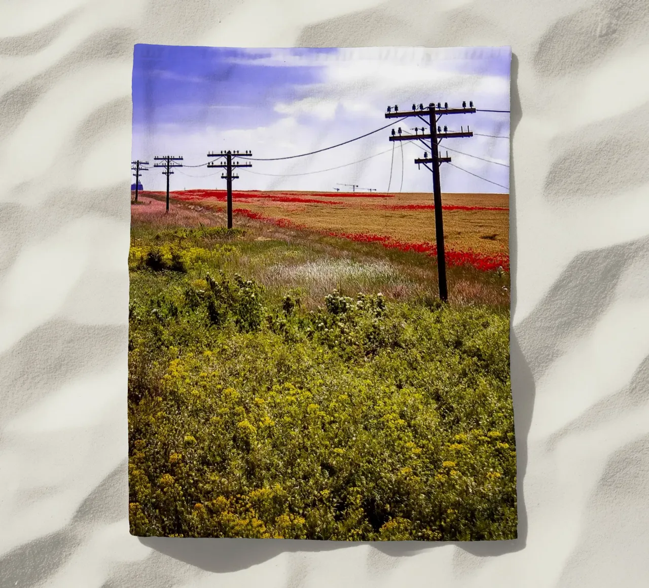 Spring is Loading in Romania – Wildflower Field from Train W beach towel by jay