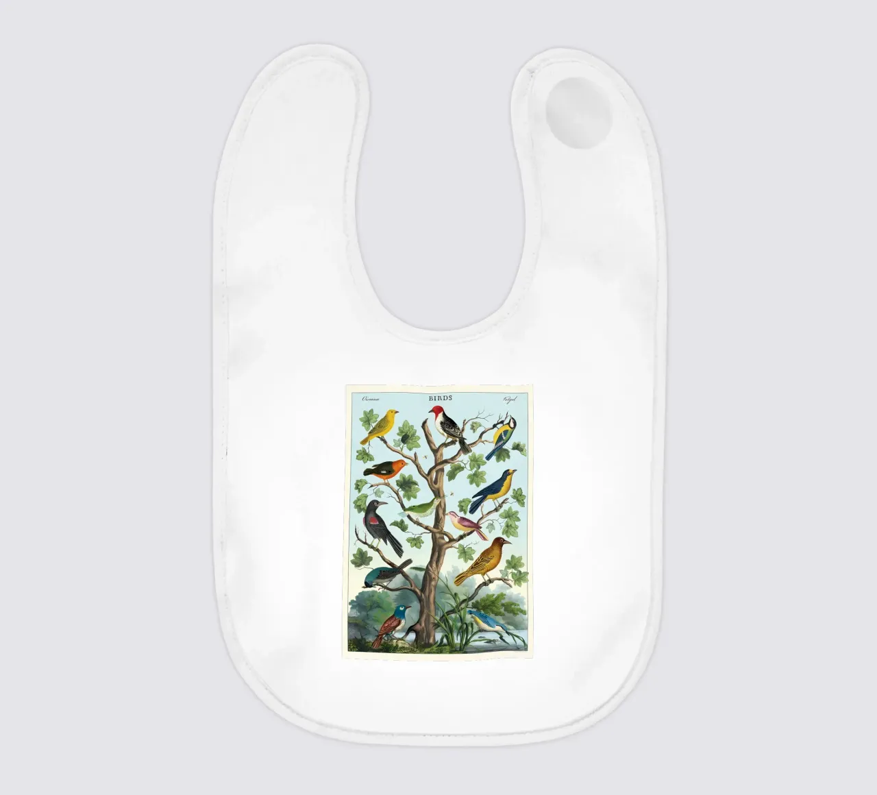 uccelli bavaglino da Graham Robertson