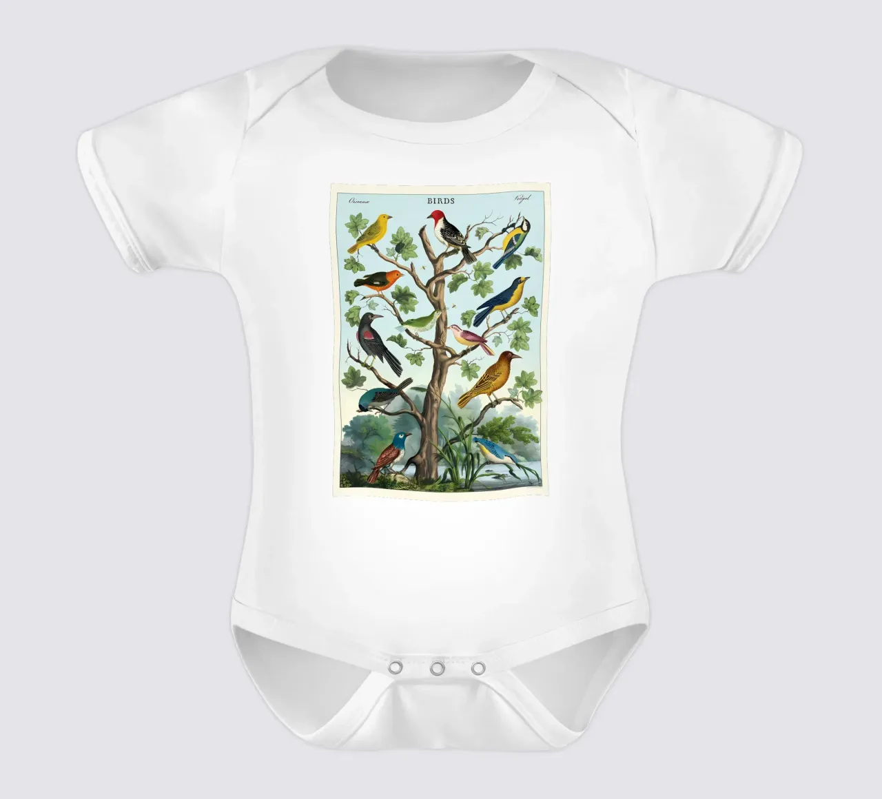 oiseaux body bébé de Graham Robertson