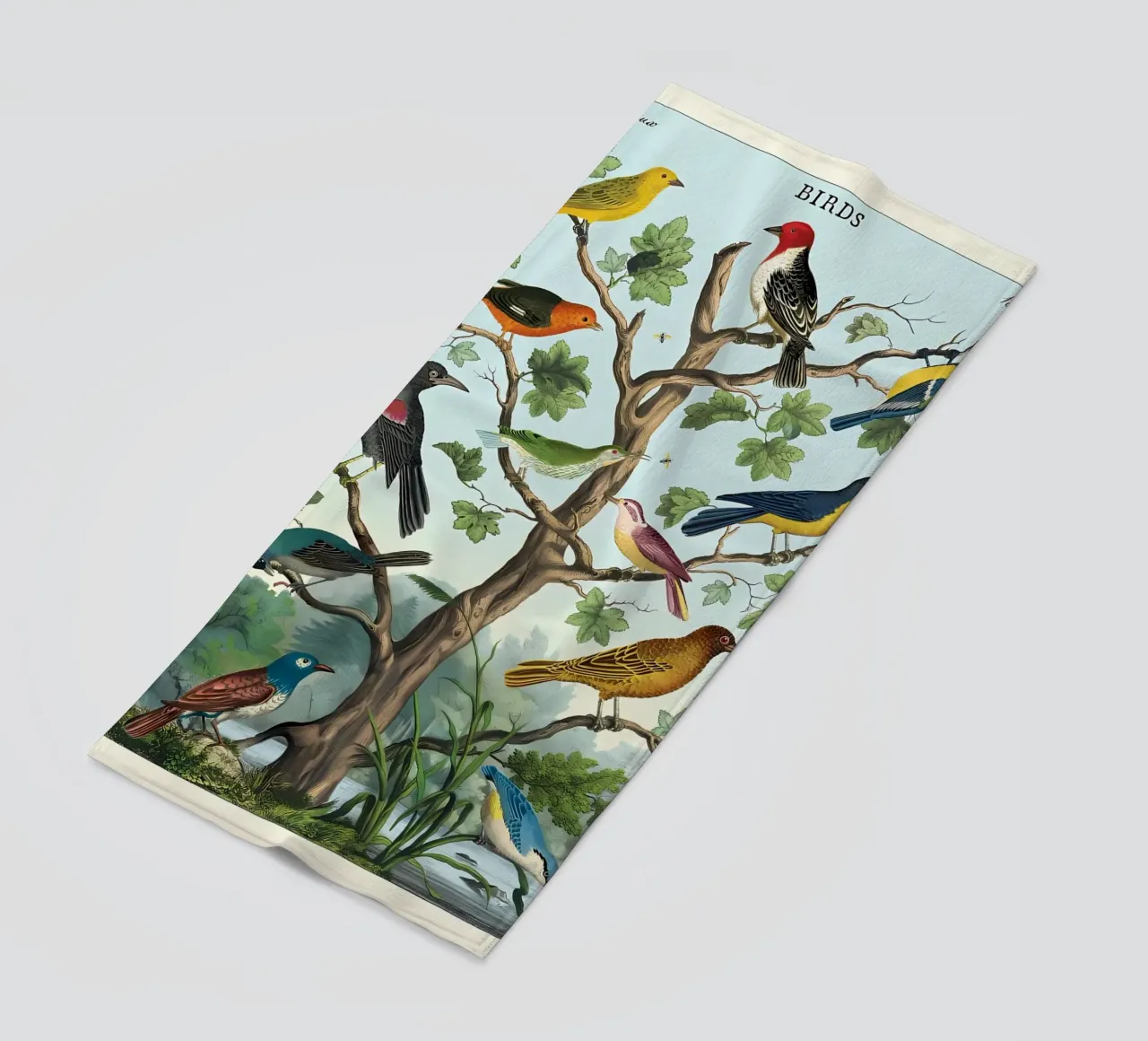 uccelli telo mare da Graham Robertson