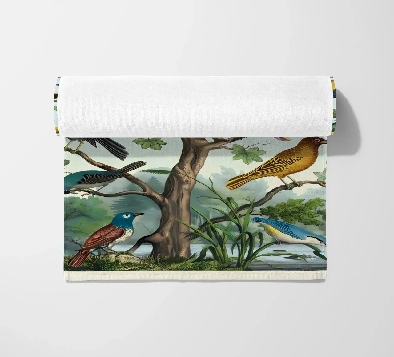 uccelli telo mare da Graham Robertson