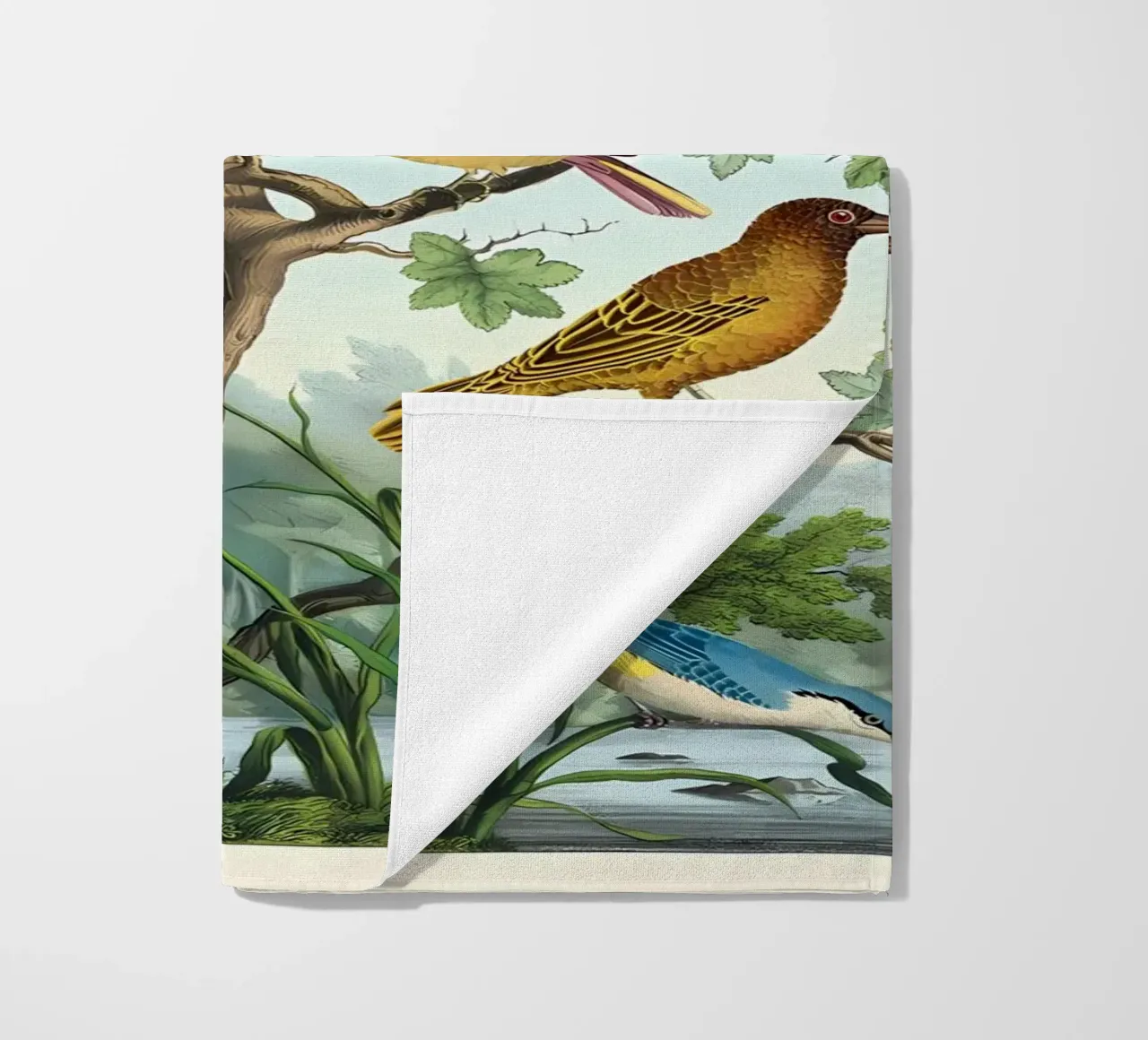 uccelli telo mare da Graham Robertson