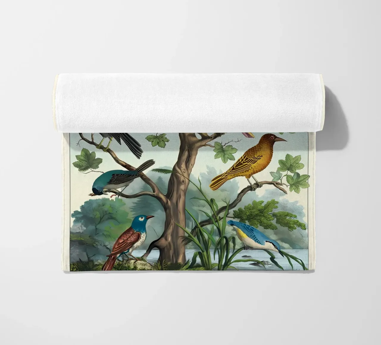 uccelli telo mare da Graham Robertson