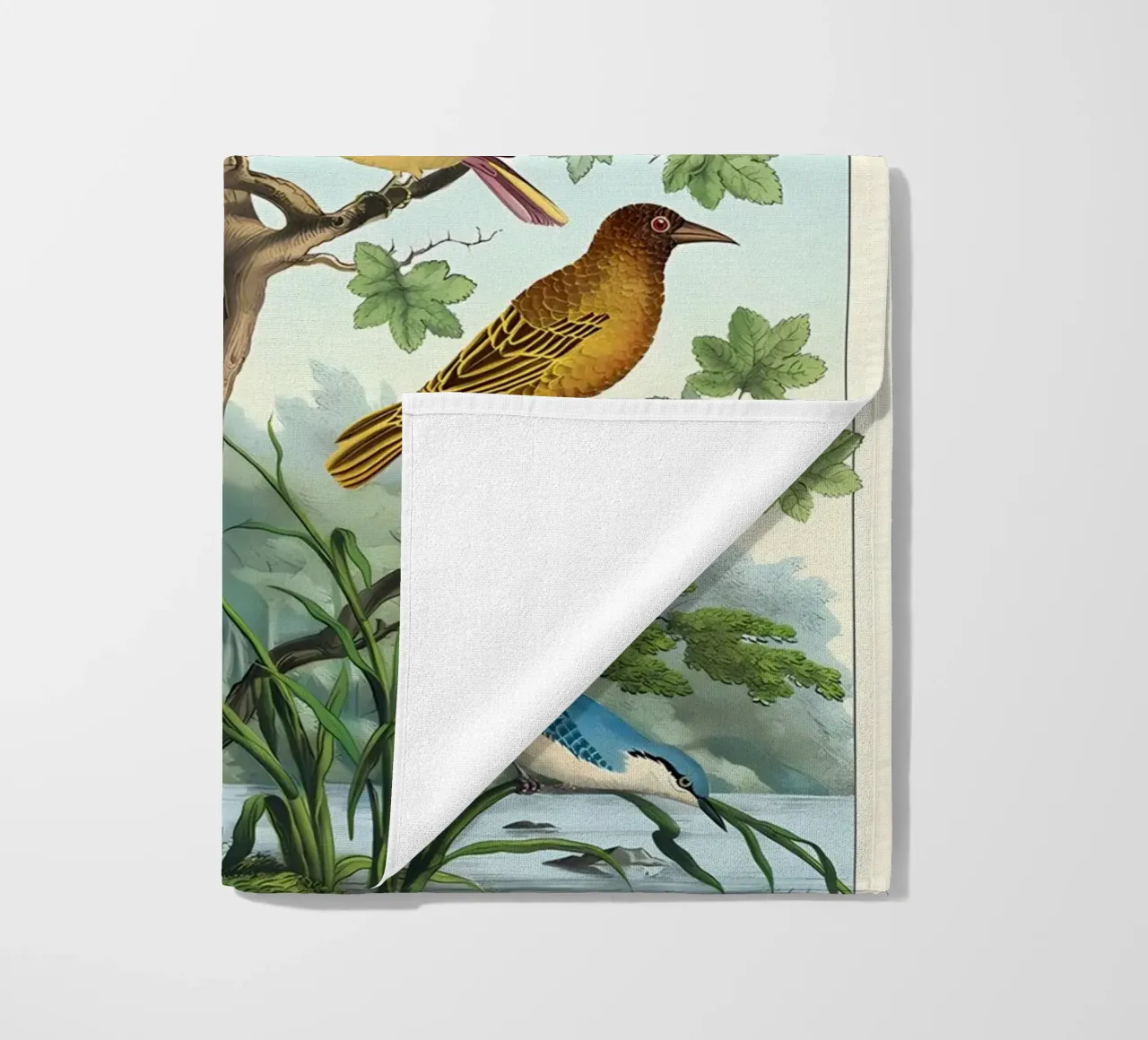 uccelli telo mare da Graham Robertson