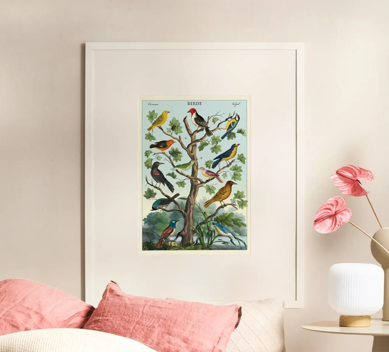uccelli poster con telaio in plastica da Graham Robertson