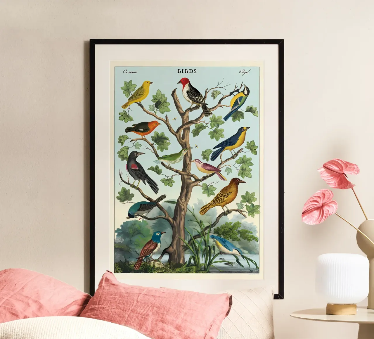 uccelli poster con telaio in plastica da Graham Robertson