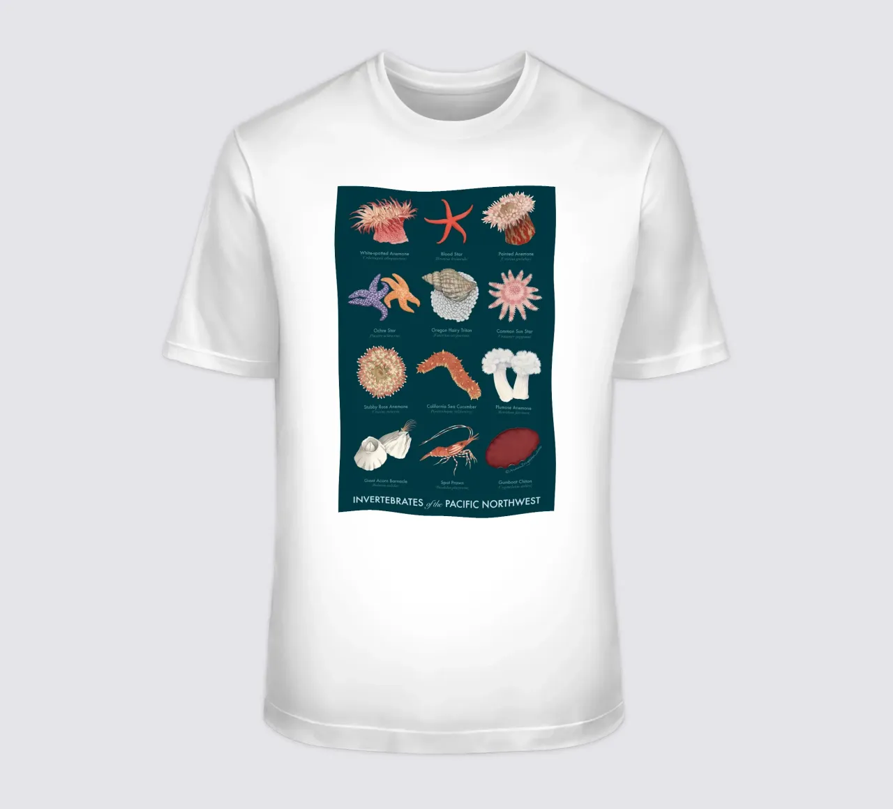 fauna selvatica subacquea t-shirt da Graham Robertson