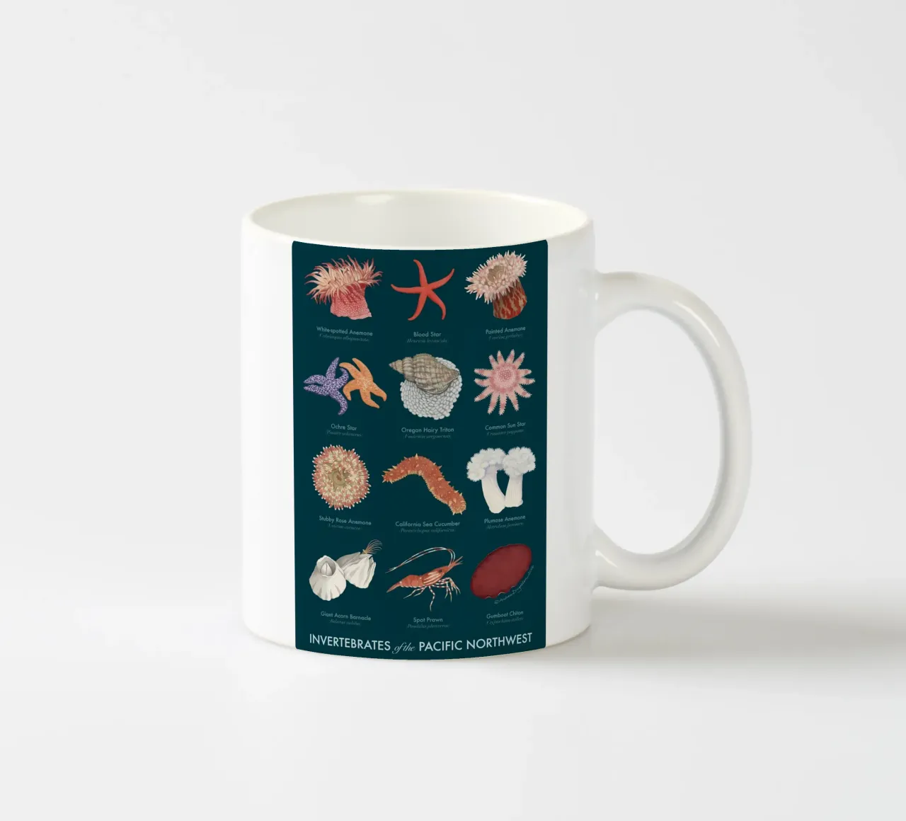 fauna selvatica subacquea tazza in ceramica da Graham Robertson