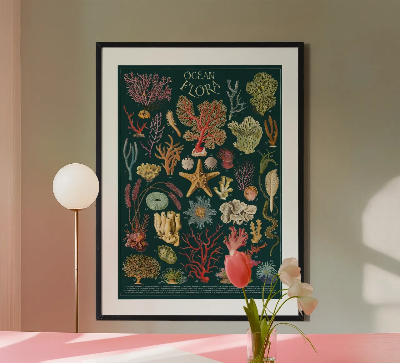 flora oceanica poster da Graham Robertson