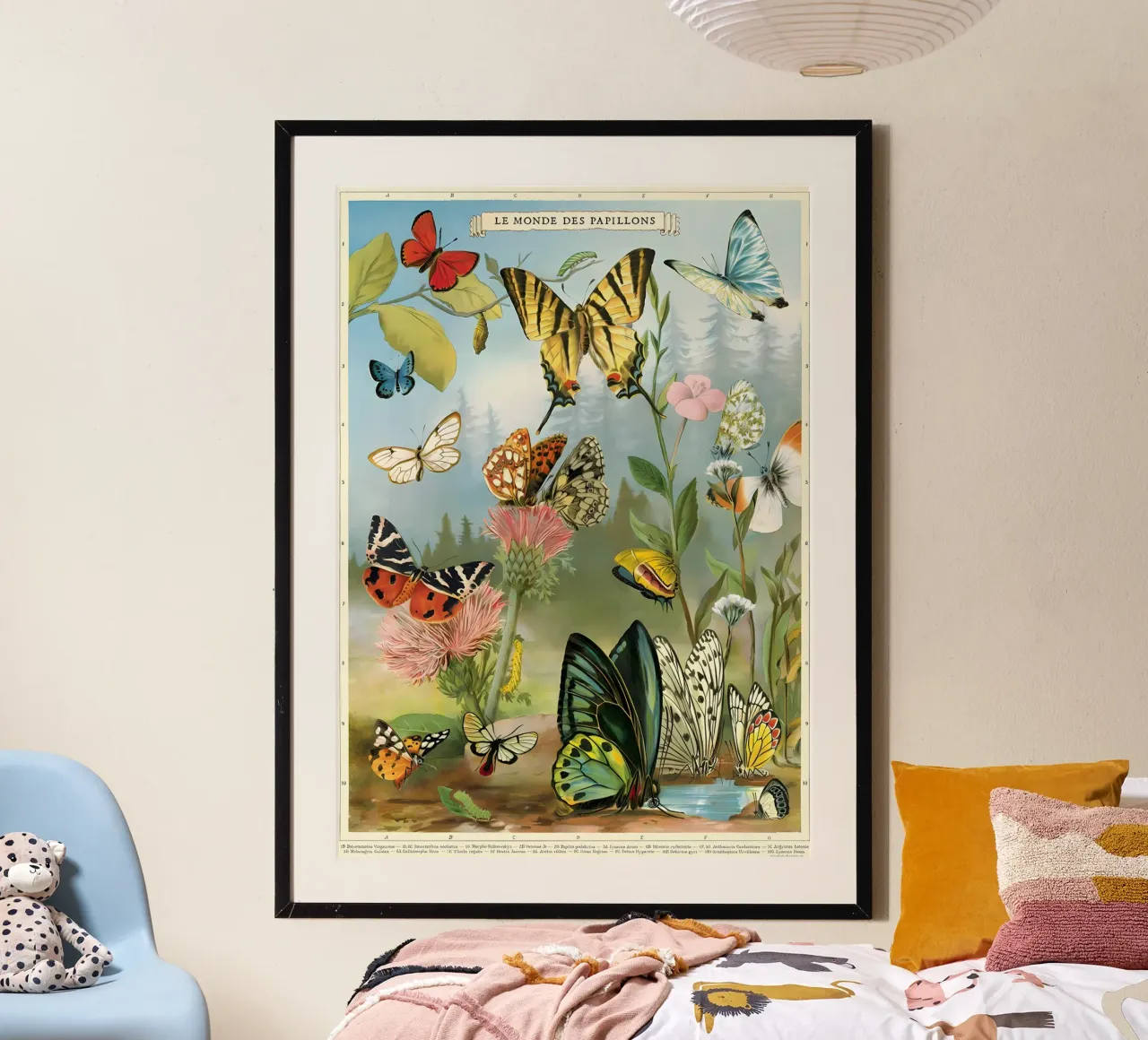 farfalla natura fiori insetti poster con telaio in legno da Graham Robertson