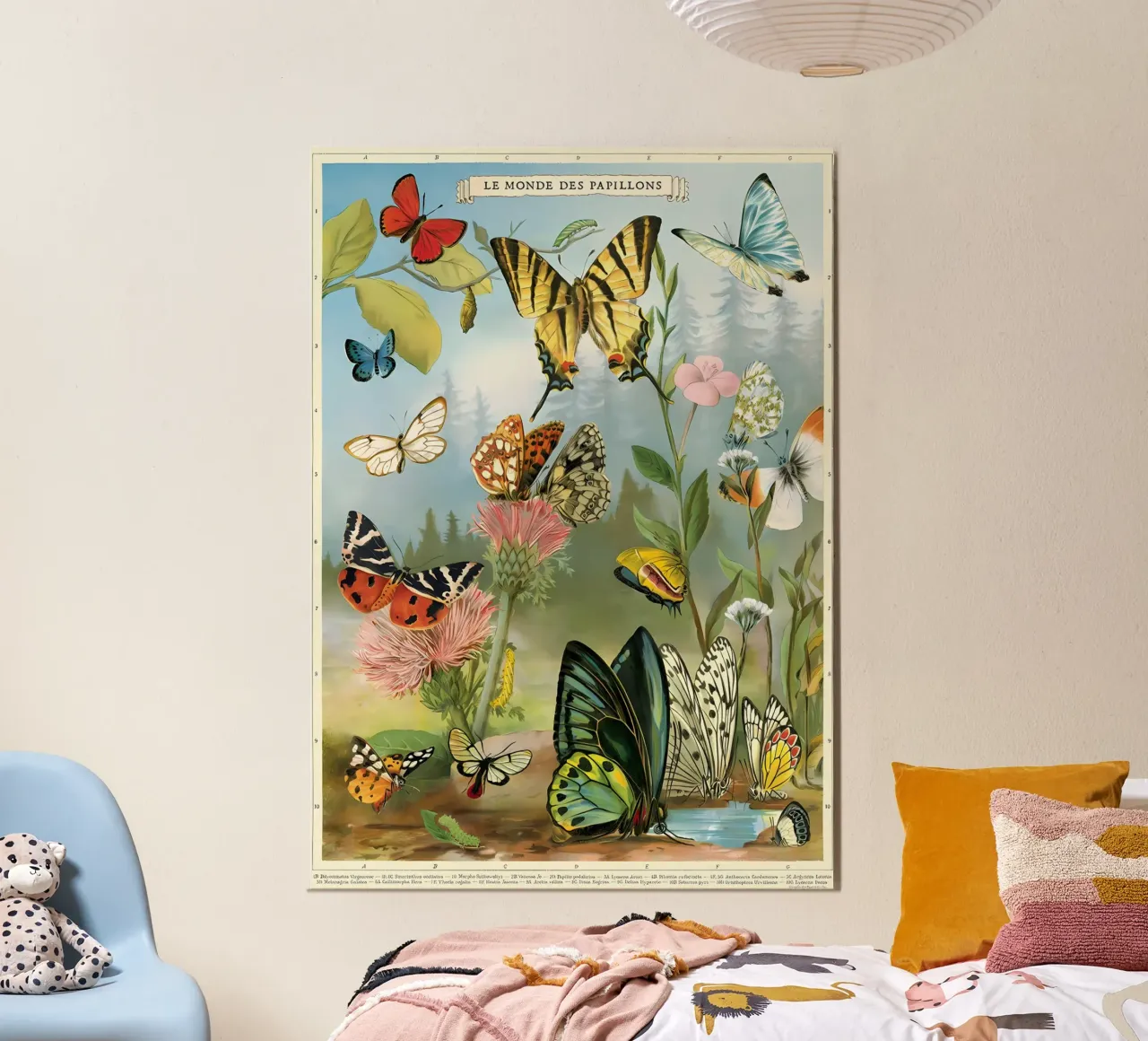 farfalla natura fiori insetti poster con telaio in legno da Graham Robertson