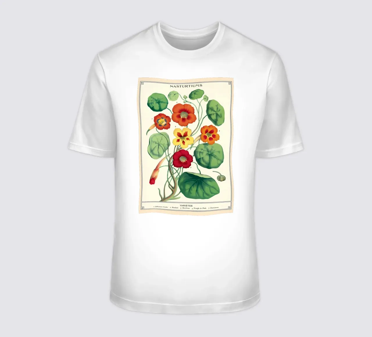 botanico t-shirt da Graham Robertson