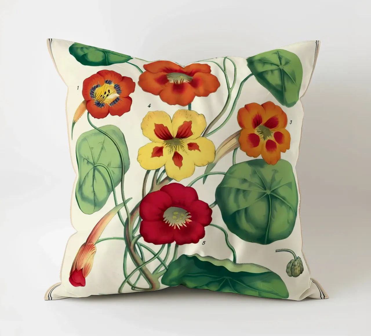 botanico cuscino da Graham Robertson