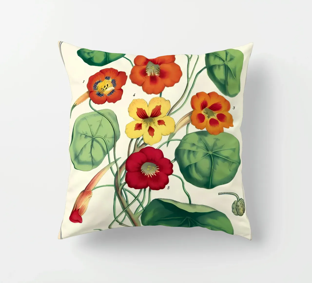 botanico cuscino da Graham Robertson