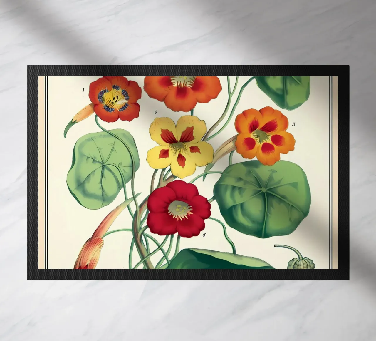 botanico zerbino da Graham Robertson