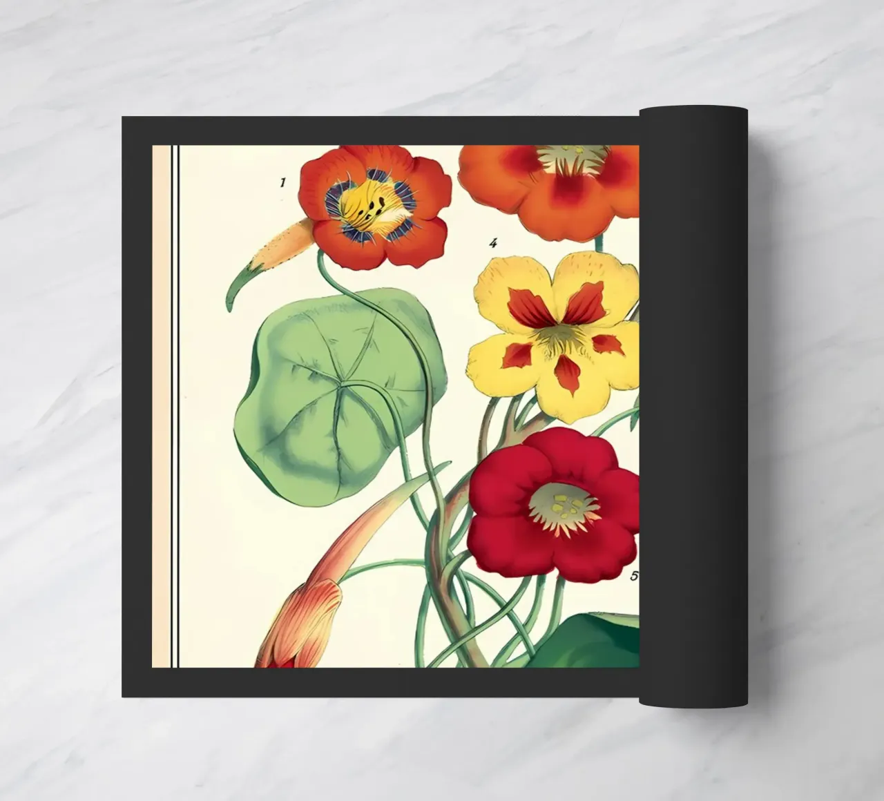 botanico zerbino da Graham Robertson