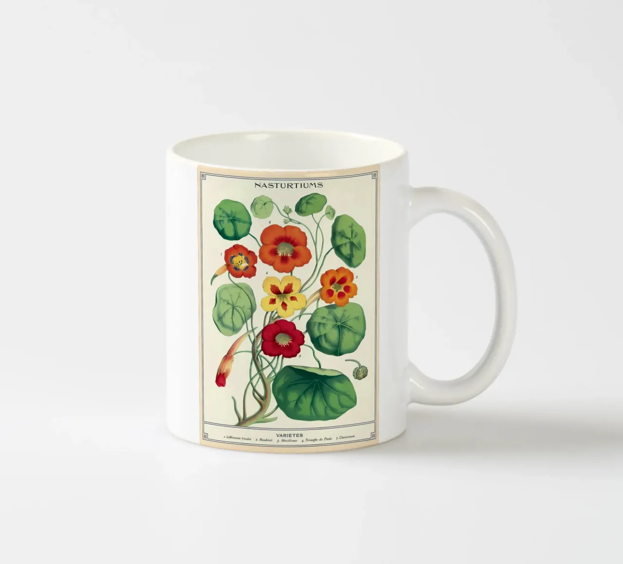 botanico tazza in ceramica da Graham Robertson