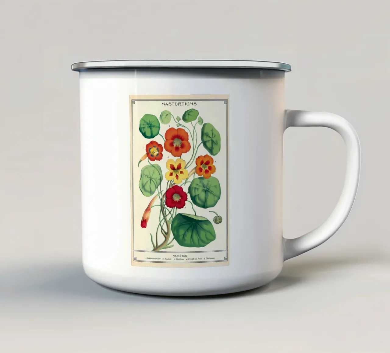 botanico tazza in smalto da Graham Robertson