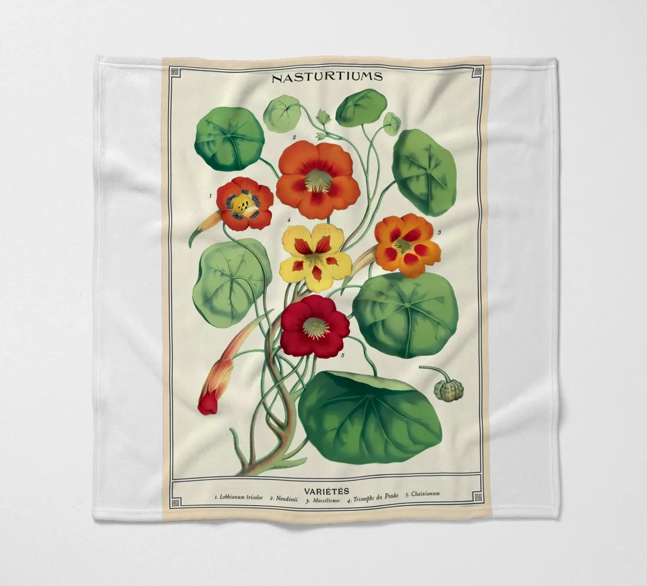botanico coperta in pile da Graham Robertson