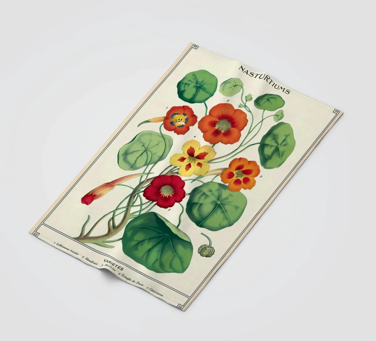 botanico coperta in pile da Graham Robertson