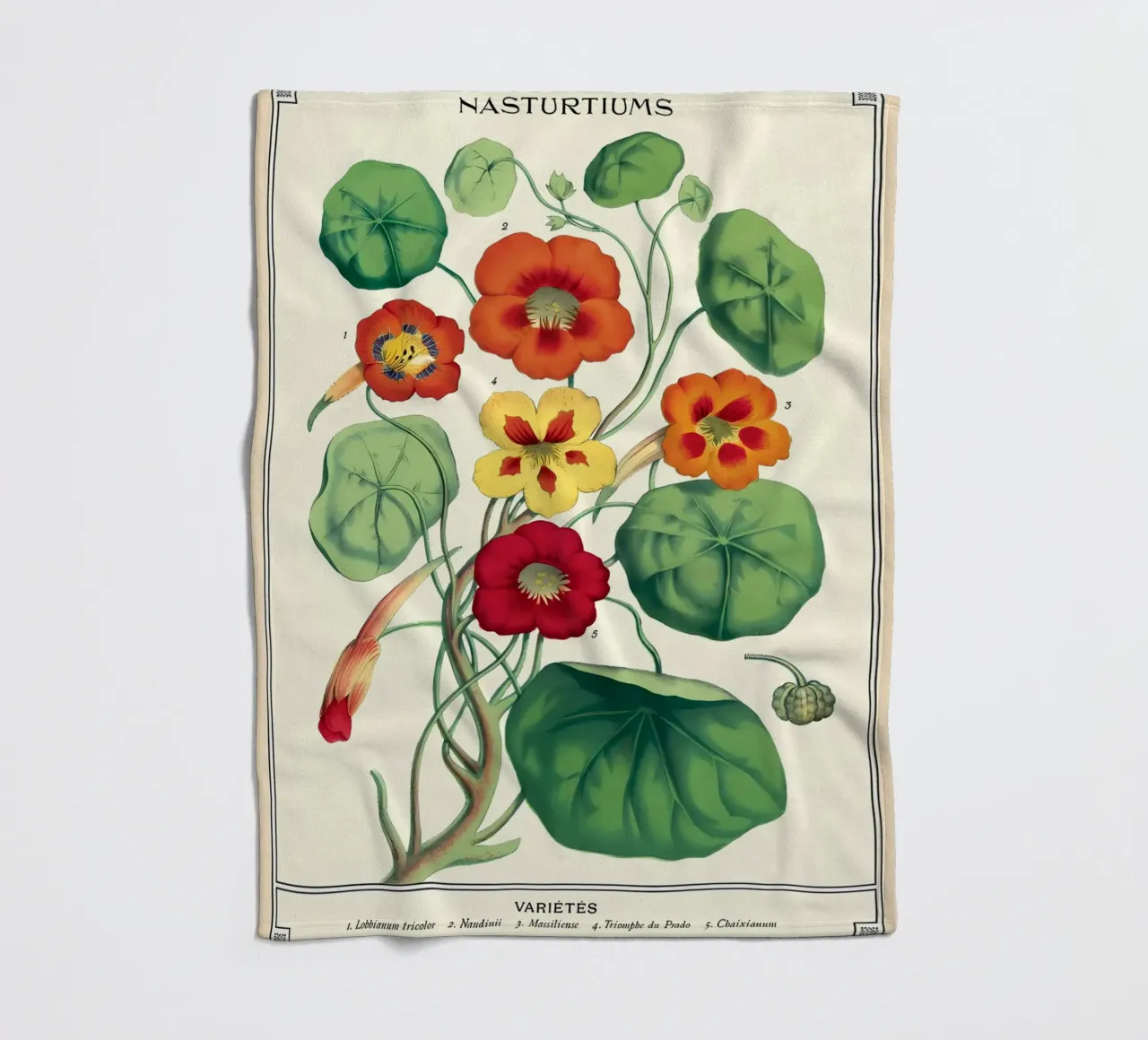 botanico coperta in pile da Graham Robertson