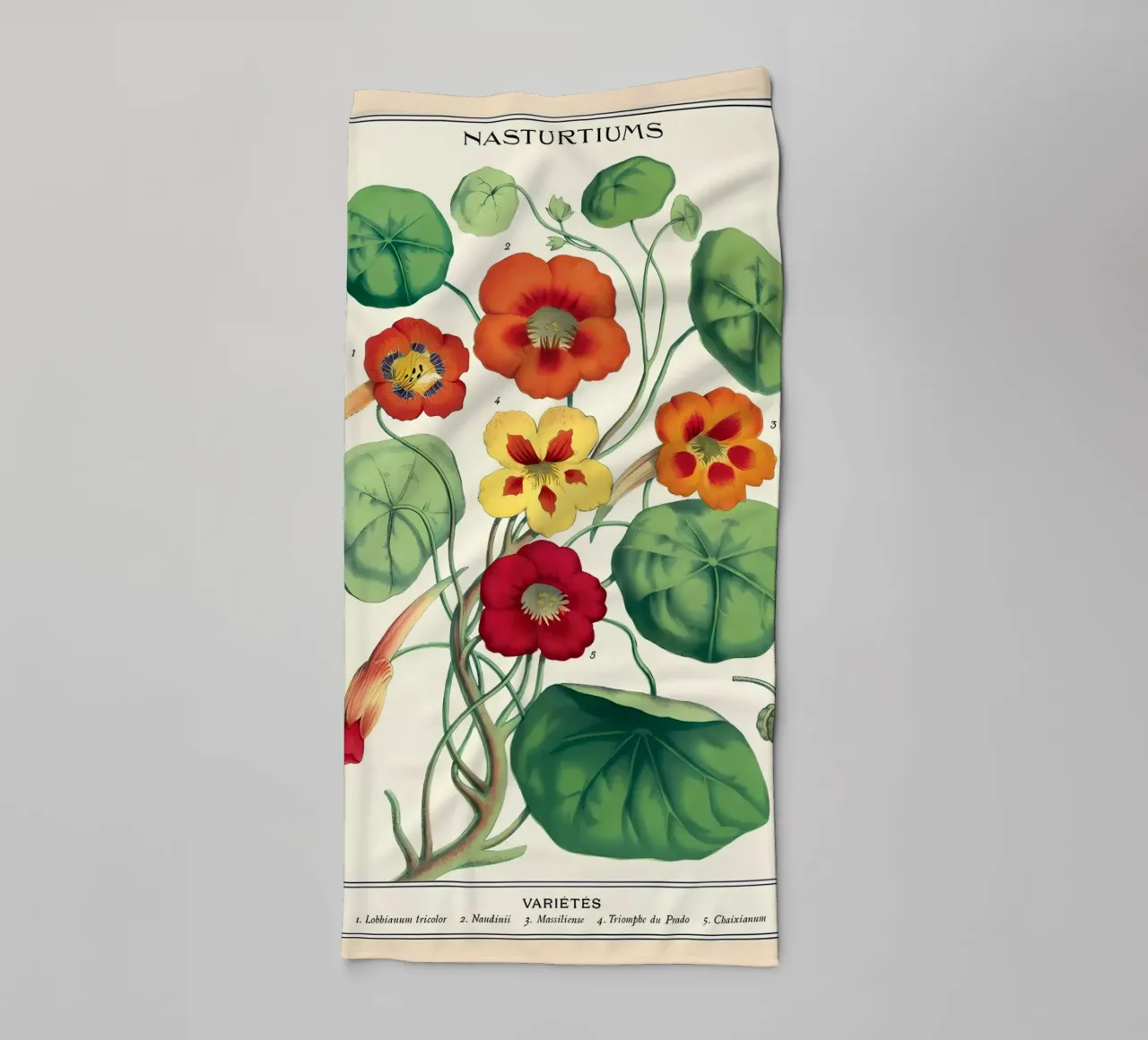 botanico asciugamano da bagno da Graham Robertson