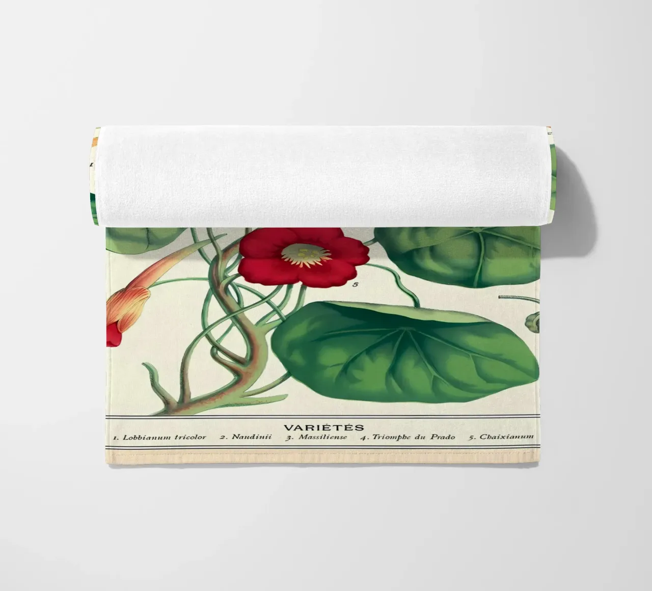 botanico telo mare da Graham Robertson