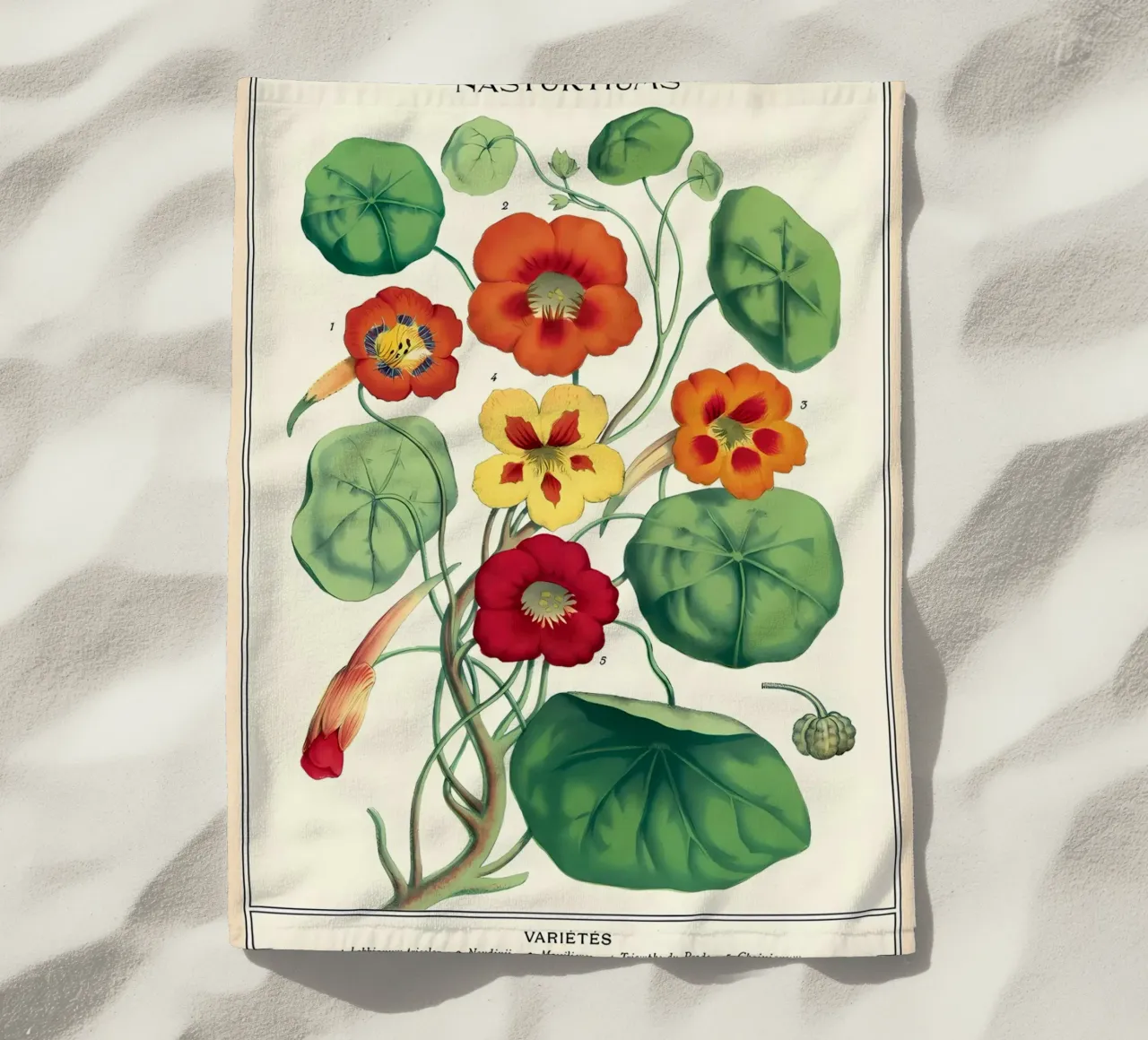 botanico telo mare da Graham Robertson