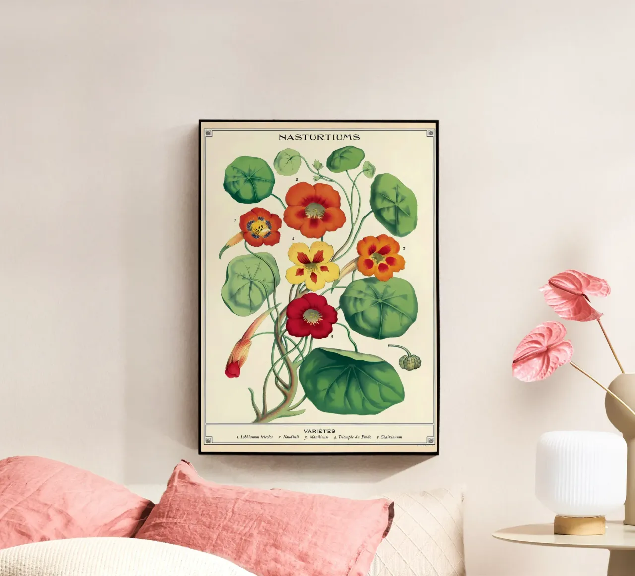 botanico plexiglass da Graham Robertson