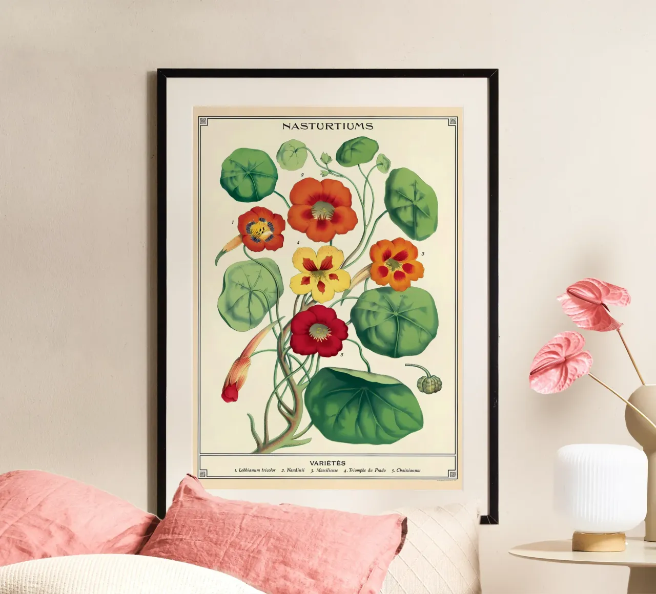 botanisch poster van Graham Robertson