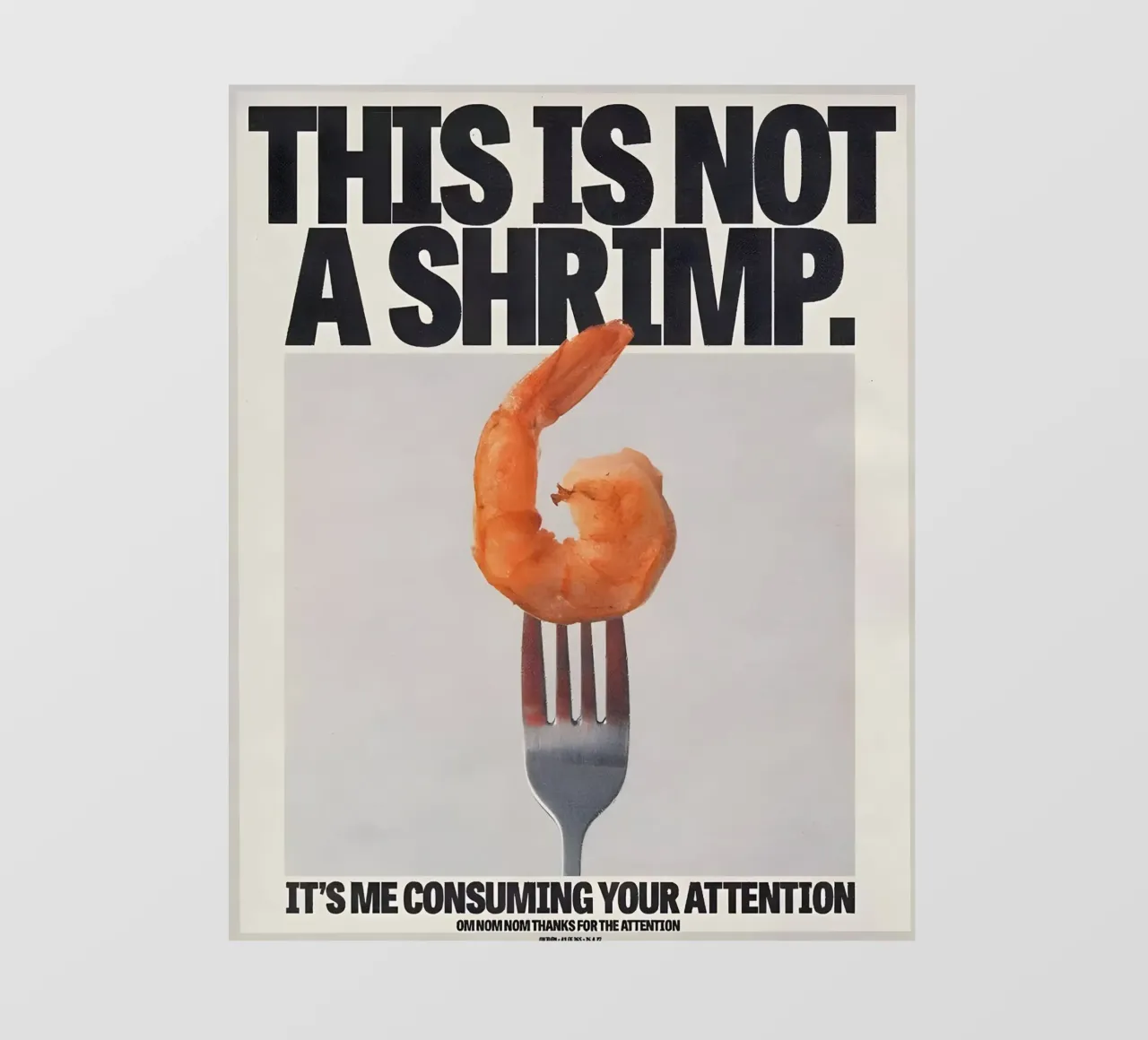 "THIS NOT A SHRIMP" pellicola backlit da Type & Tape