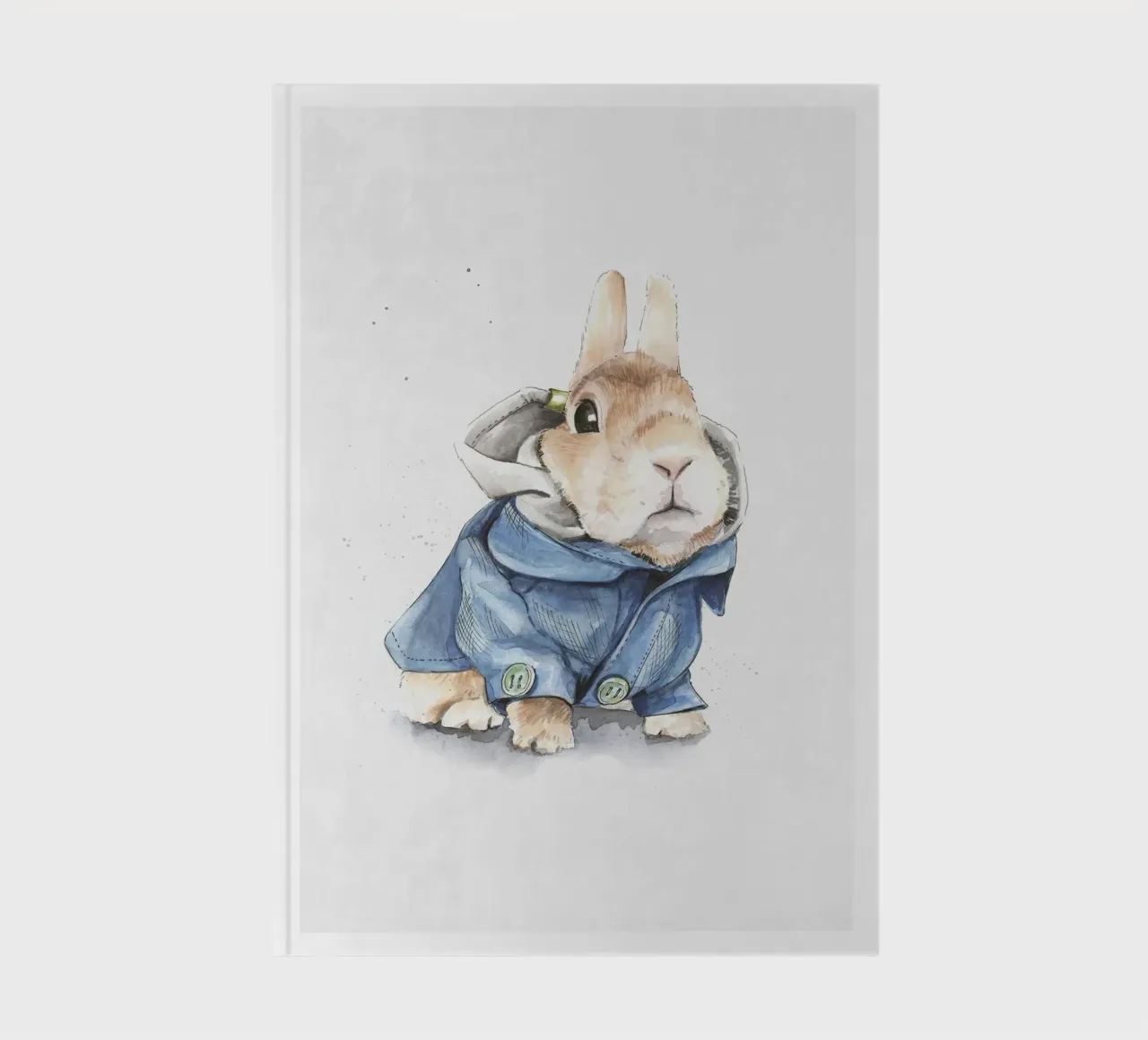 Peter Rabbit diario da muench benjamin