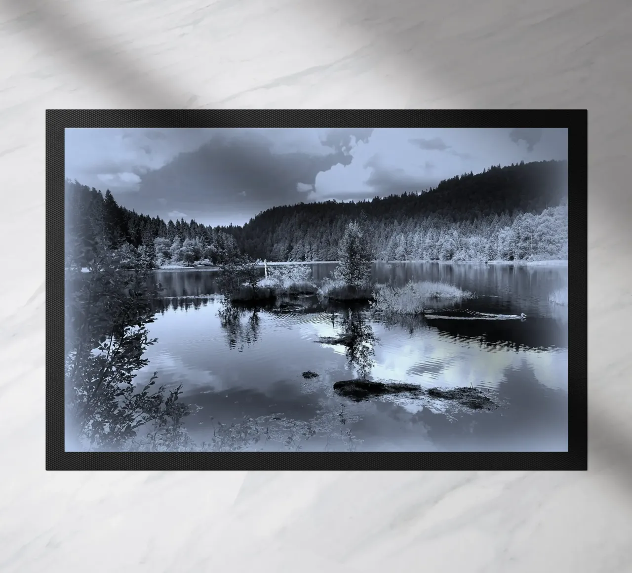 BW79 zerbino da Thierry vobmann photography