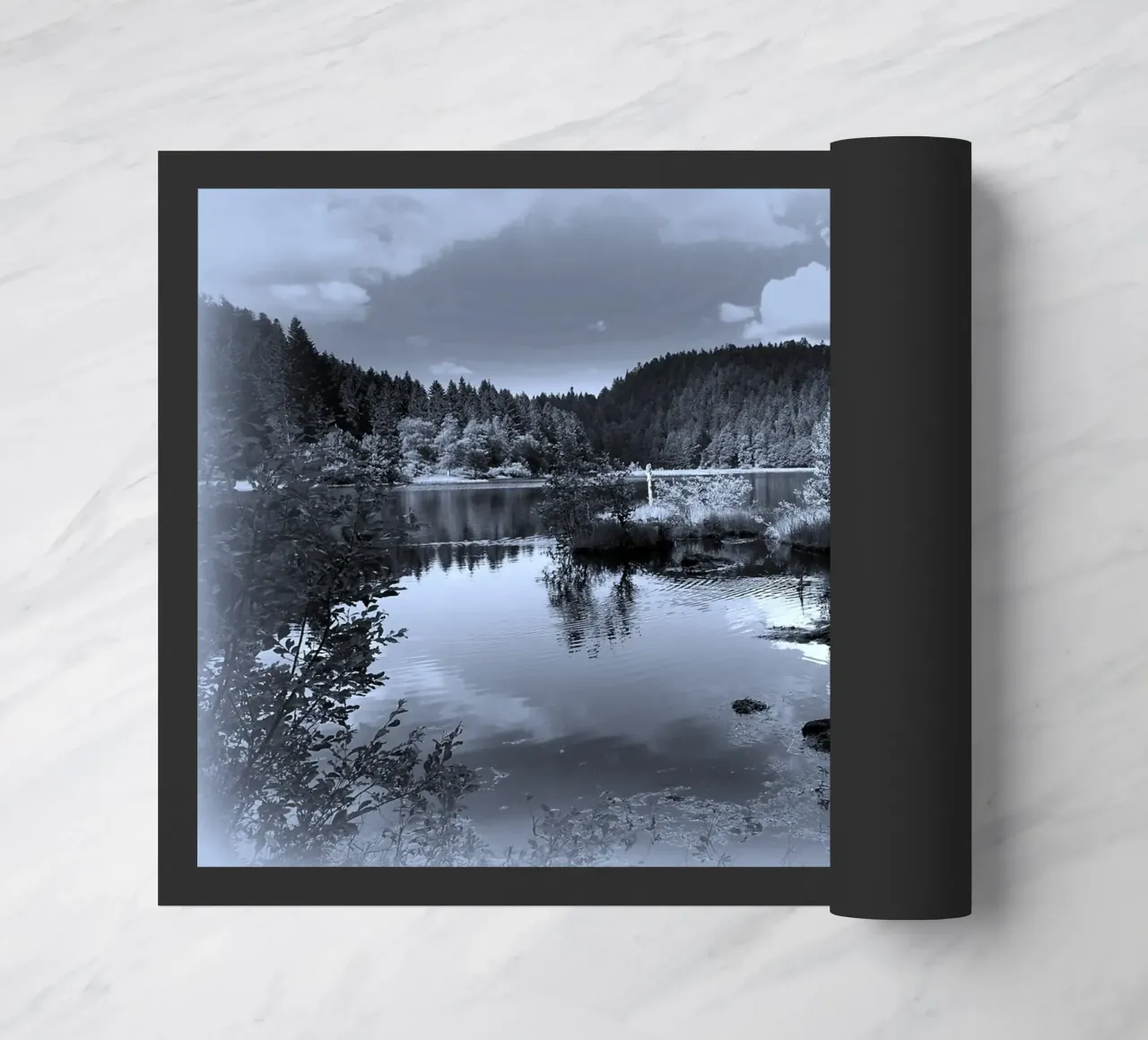 BW79 zerbino da Thierry vobmann photography