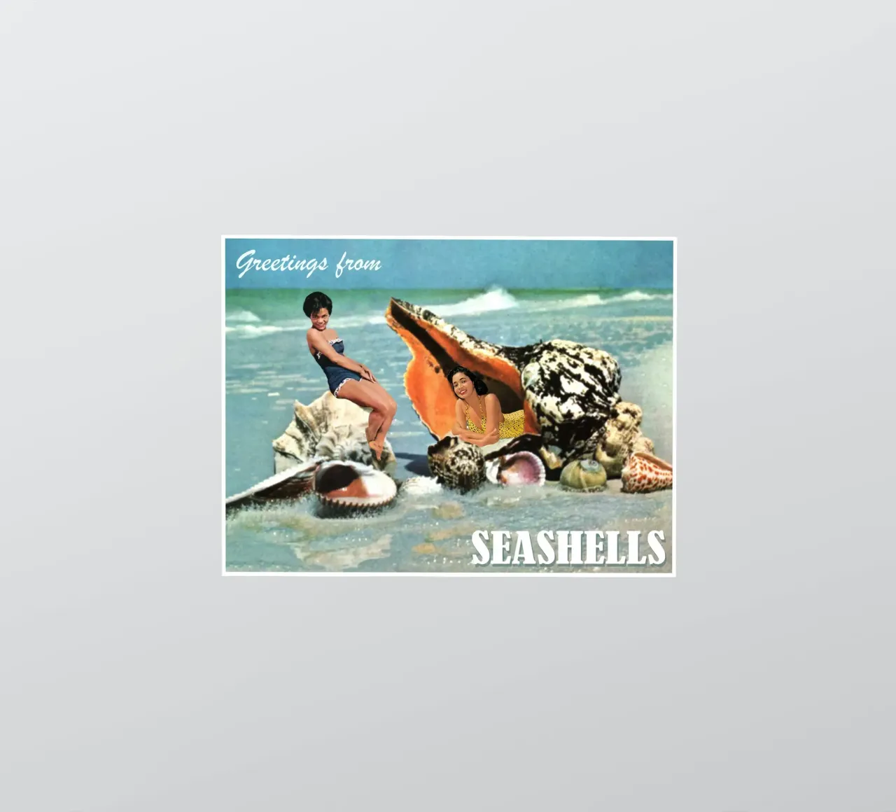 Greetings from Seashells adesivo da MsGonzalez