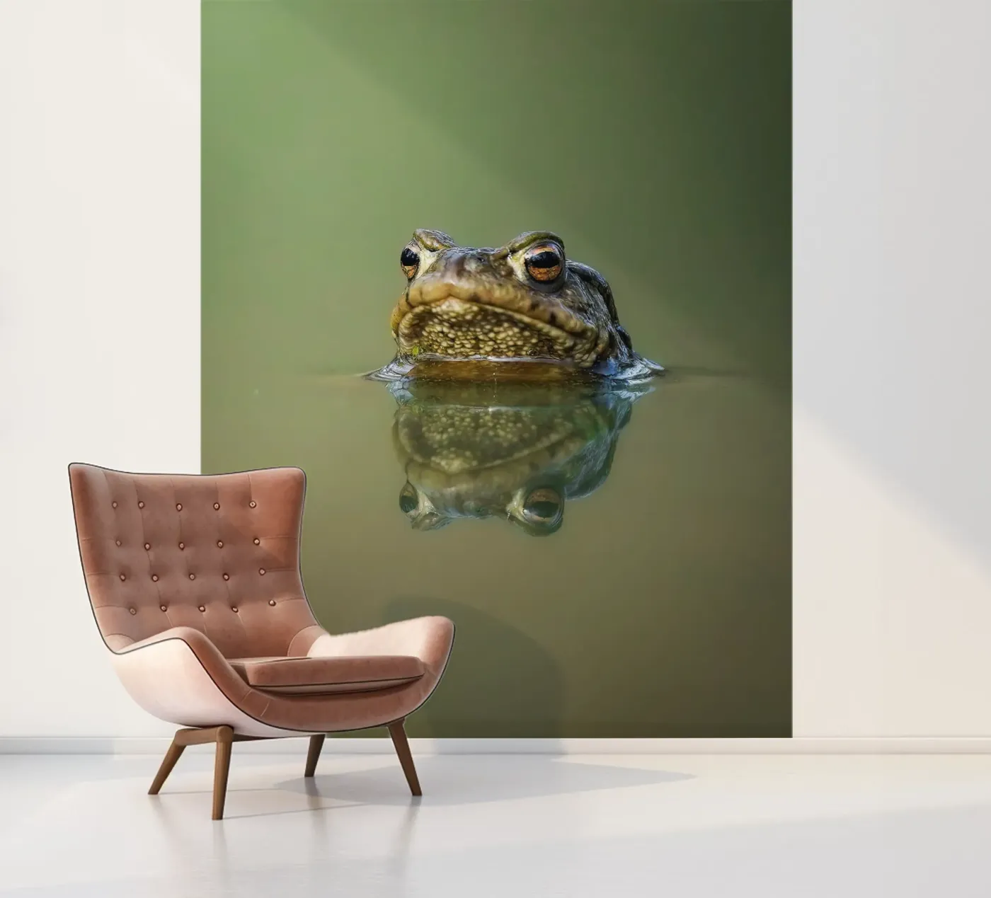 Frog Fototapete von Tom's Wildlife