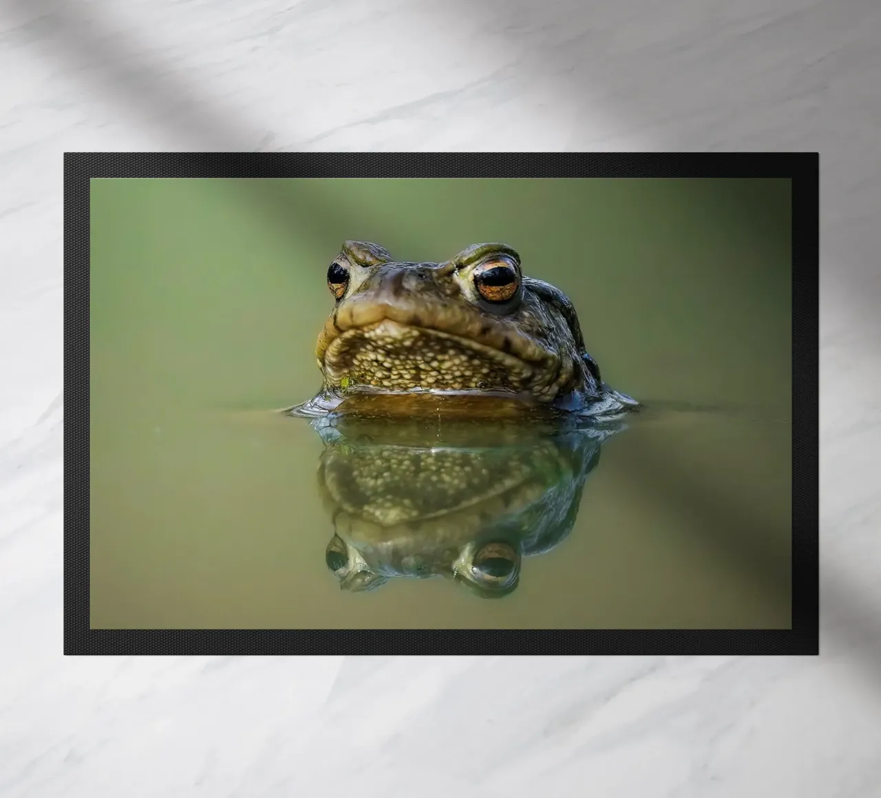 Frog doormat by Tom's Wildlife