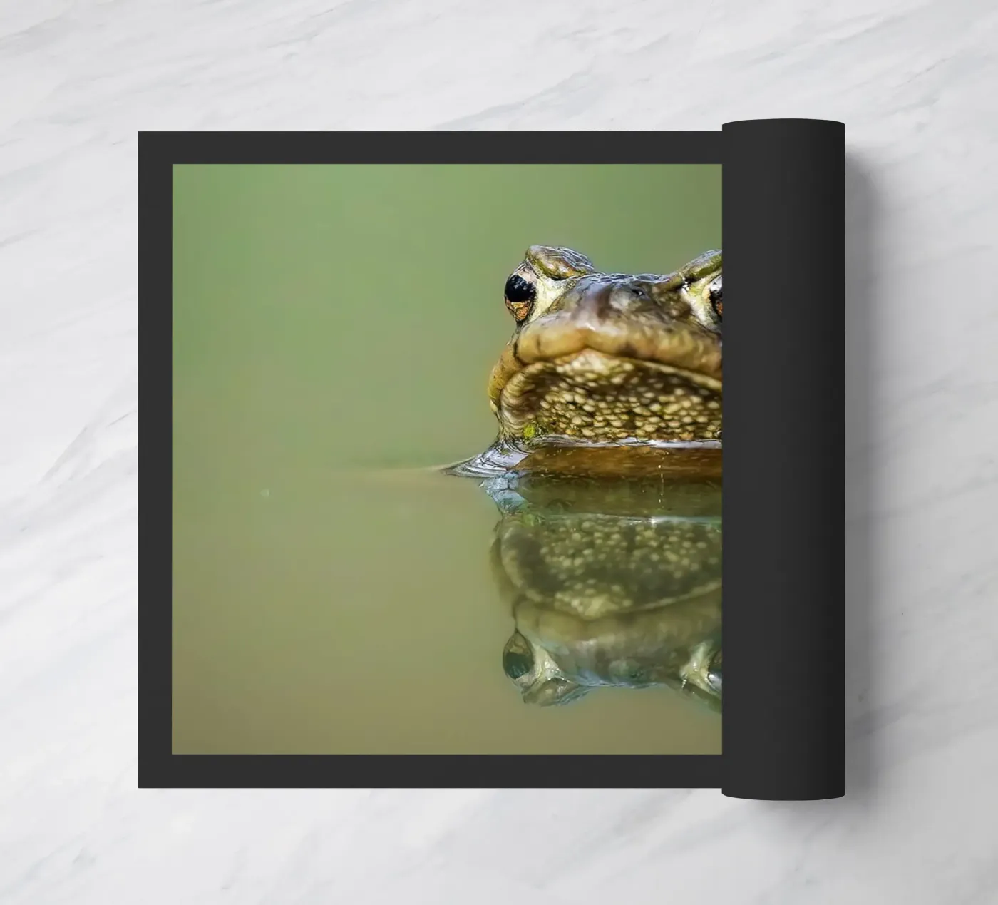 Frog deurmat van Tom's Wildlife