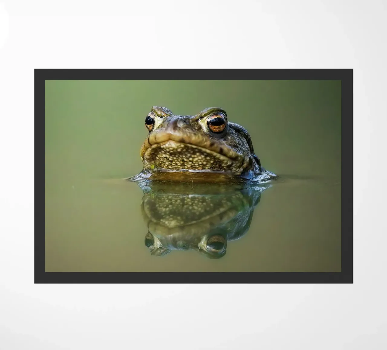 Frog doormat by Tom's Wildlife