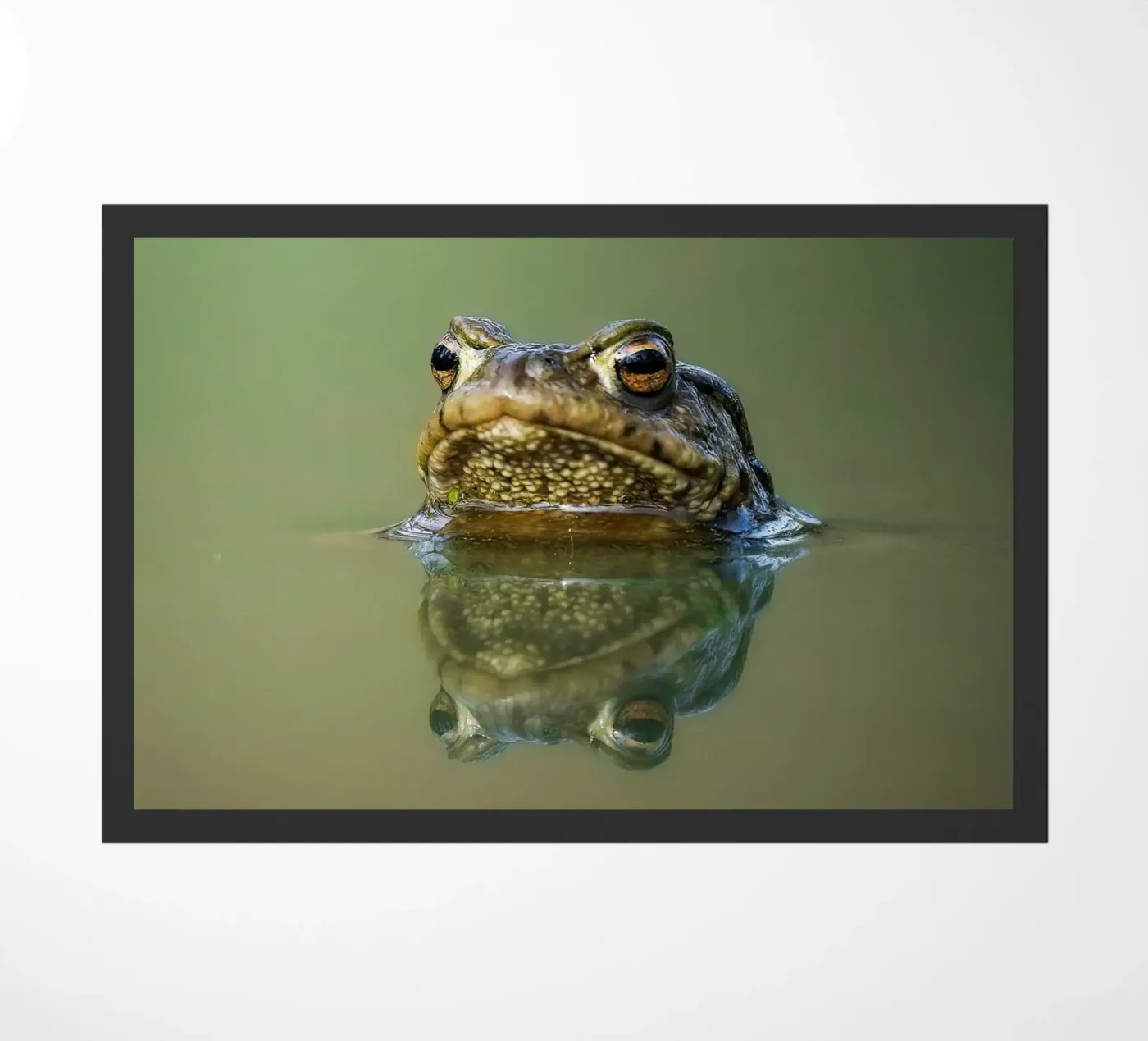 Frog deurmat van Tom's Wildlife