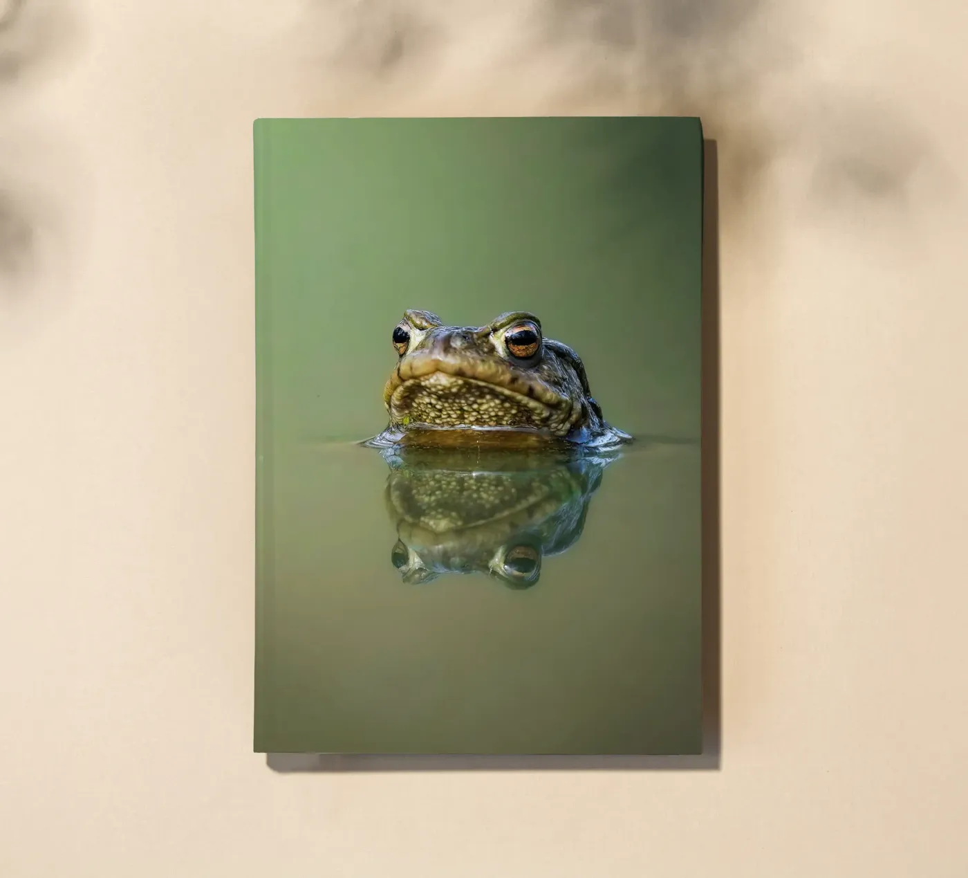 Frog notebook by Tom's Wildlife