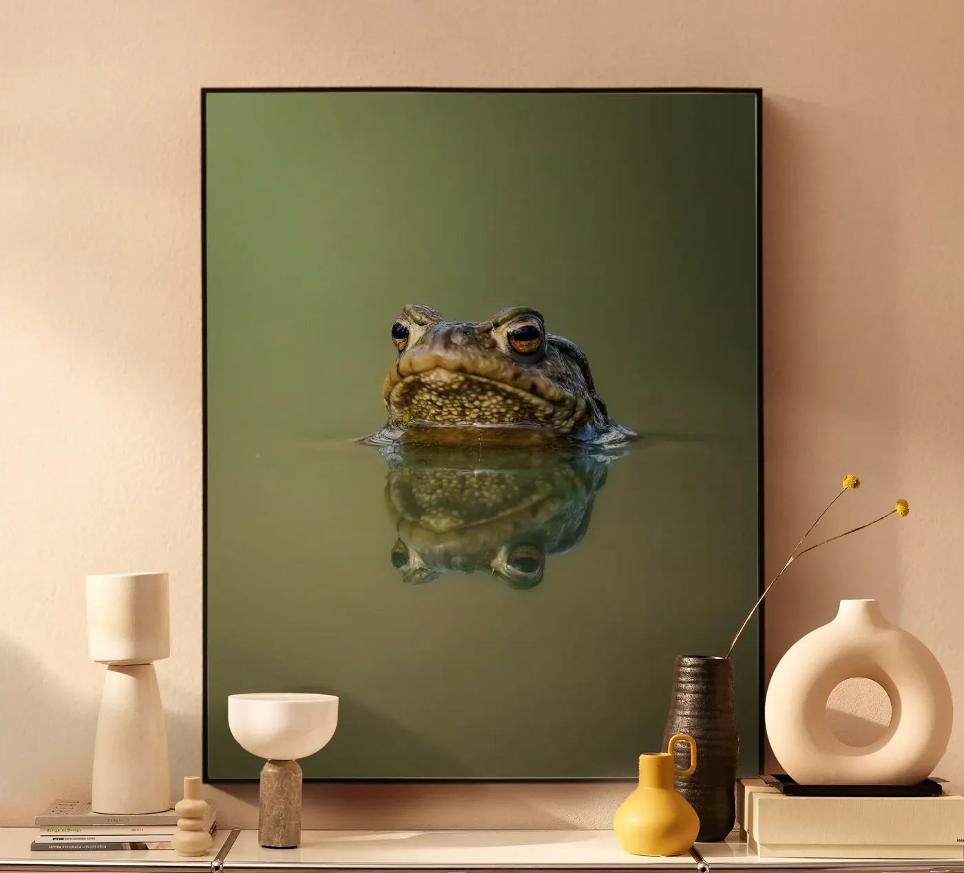 Rana plexiglass da Tom's Wildlife