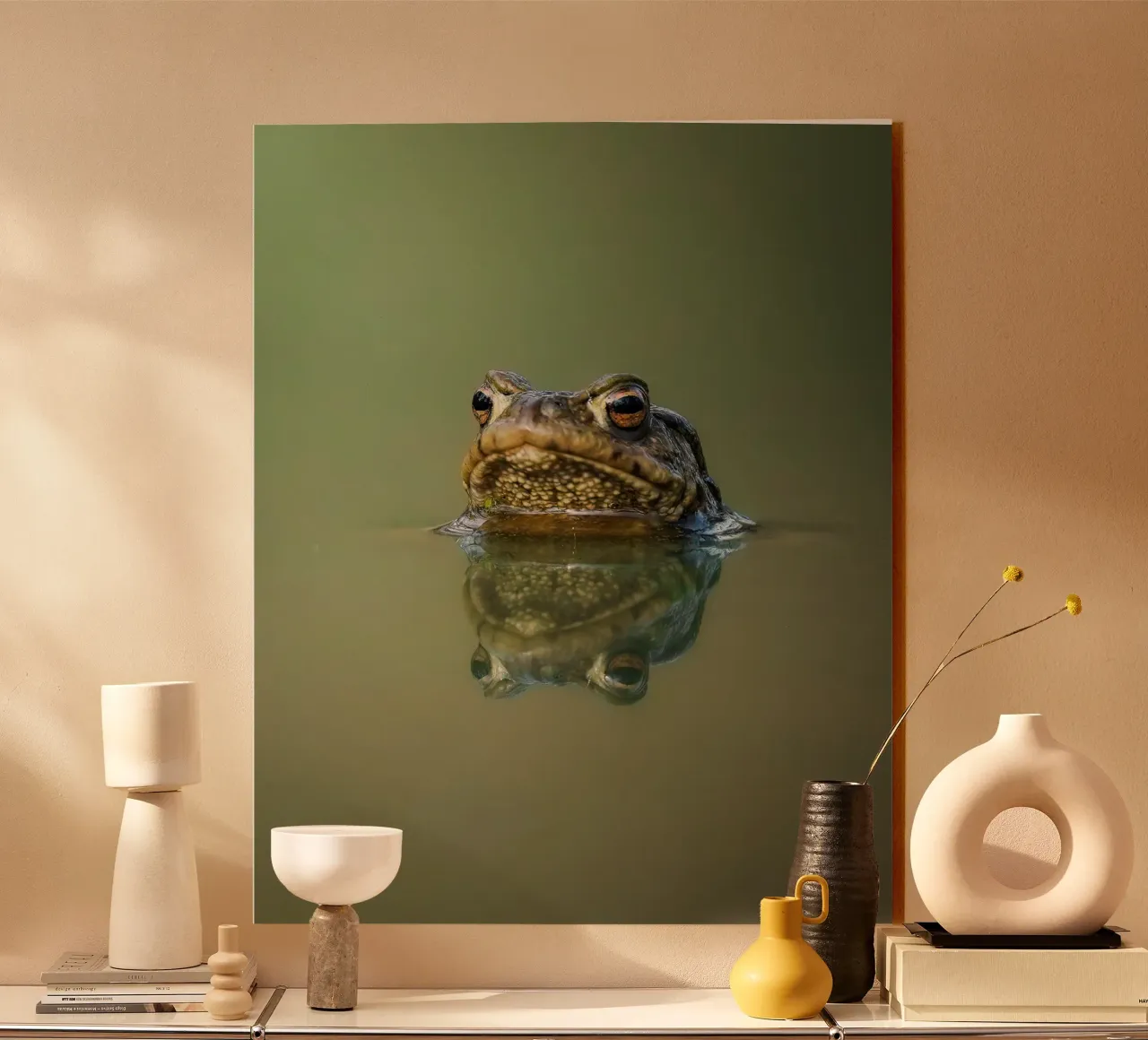 Rana plexiglass da Tom's Wildlife