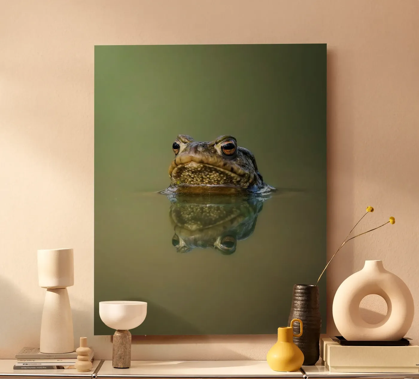 Frog pannello forex da Tom's Wildlife