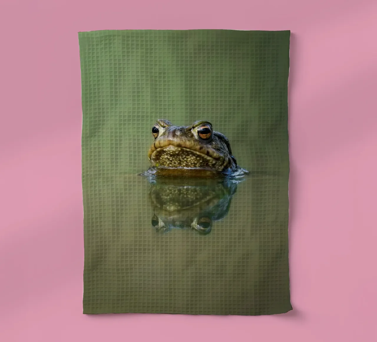 Frog torchon de Tom's Wildlife