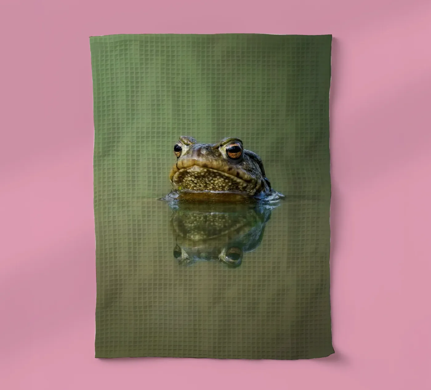 Rana canovaccio da cucina da Tom's Wildlife