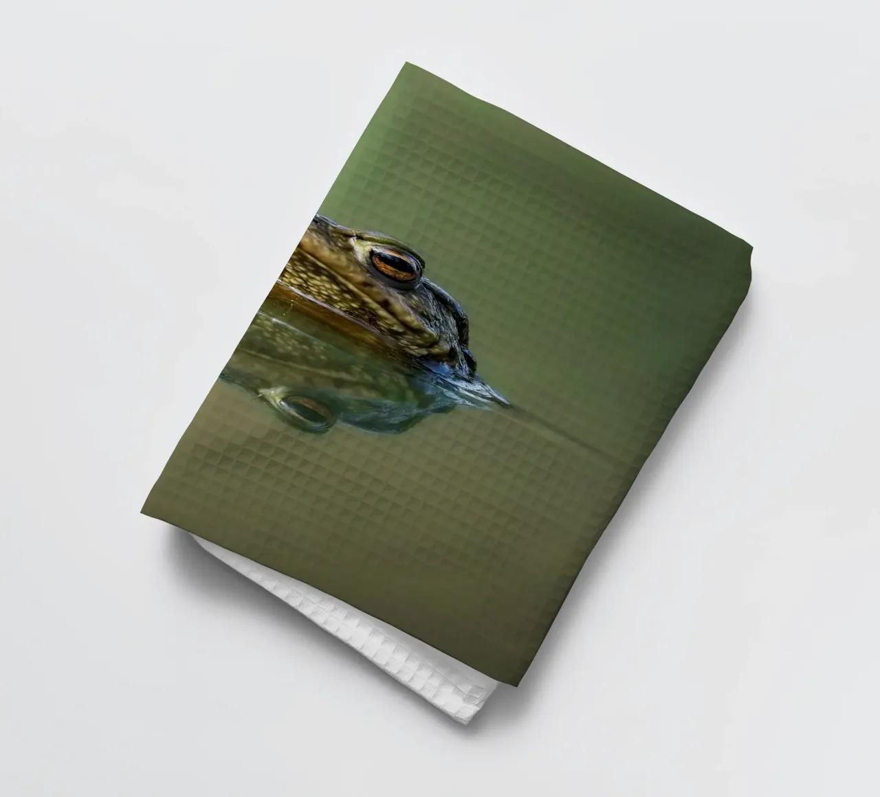 Frog torchon de Tom's Wildlife