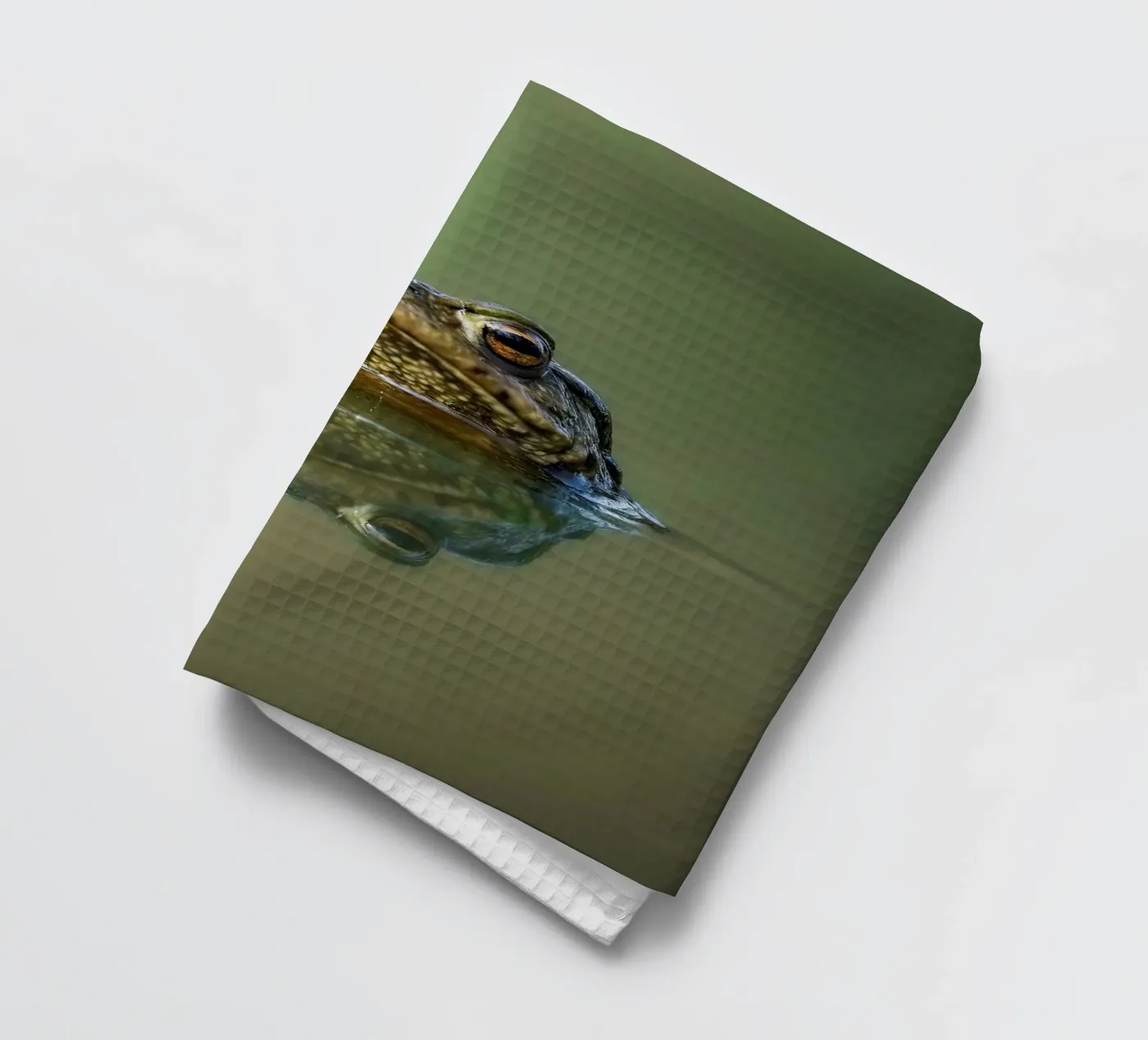 Rana canovaccio da cucina da Tom's Wildlife